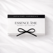 DISCOVERY SET - OLFACTORY EXPERIENCE